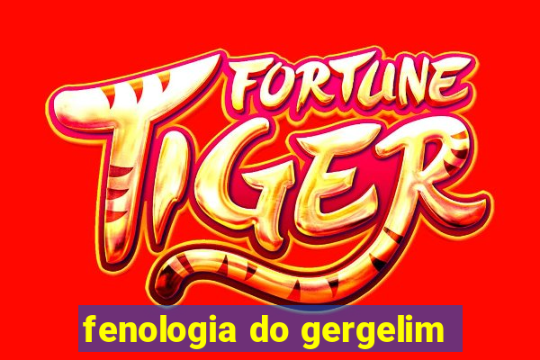 fenologia do gergelim